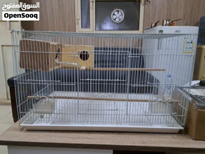undefined 3