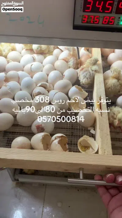 undefined 3