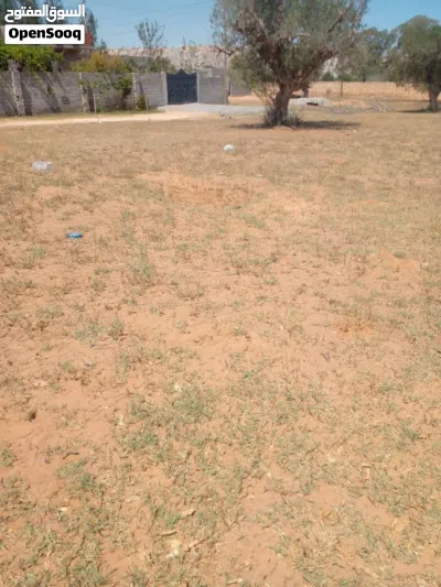 ارض للبيع تاجوراء سيرتي 2