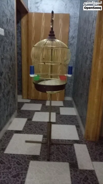للبيع قفص طيور مستحدم 2