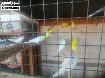 undefined 2