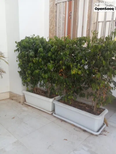 undefined 2