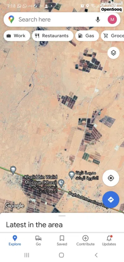 ارض 10 دونم للبيع في المفرق حي نايفه 2