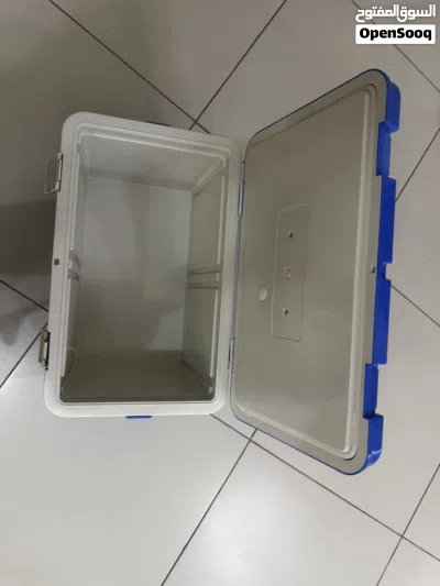Big chill box 2