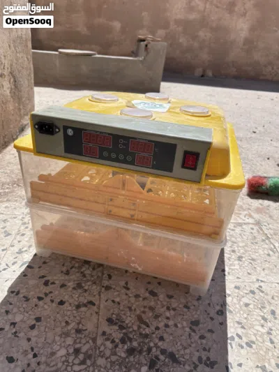 فقاسة دجاج صينية 96 دحية 2