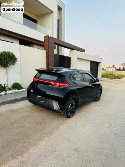 بي واي دي سيجول 4