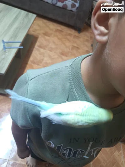 undefined 2
