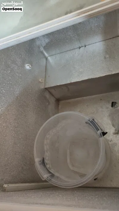 مجمده اللبيع 125 2