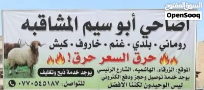 اضاحي عقيقه نذر تلبية جميع المناسبات افضل الانواع وحرق اسعار حرقنا السوق 3