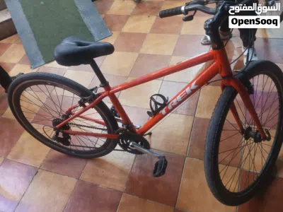 Bicycle for sale 2