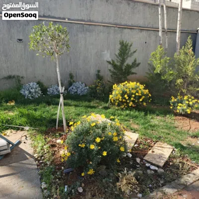 undefined 4