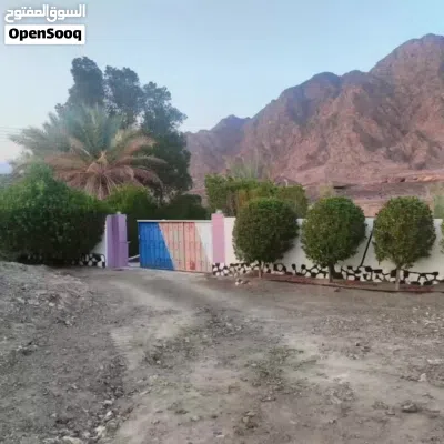 مزرعه استثنائيه للبيع ( تم تخفيض السعر) 2