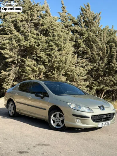 بيجو 407 Standard 3