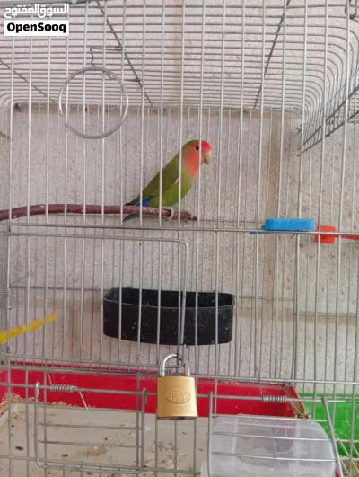 undefined 2