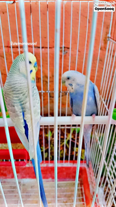 undefined 3