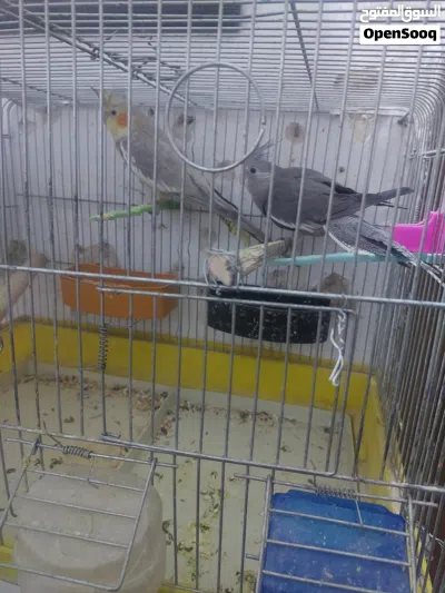 undefined 4