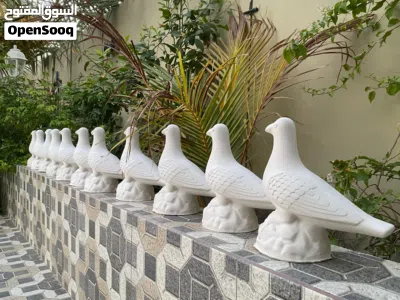 طيور زينه بالجبس 2