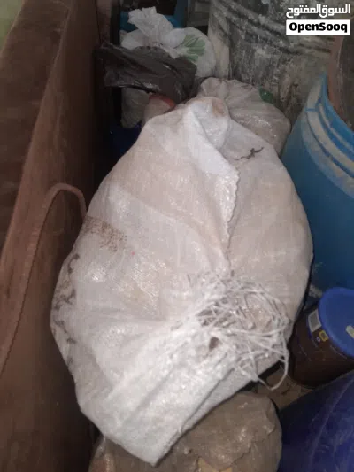يوجد خبز ناشف مدقوق جاهز للبيع وزن اشوال50 كيلو 4