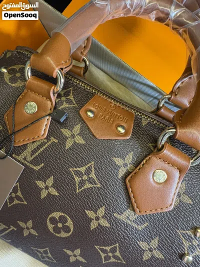Louis Vuitton LV Speedy Trunk (master quality) 2