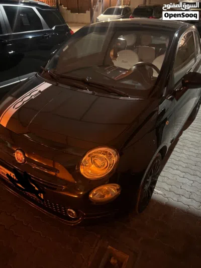 Fiat 500 Standard 3