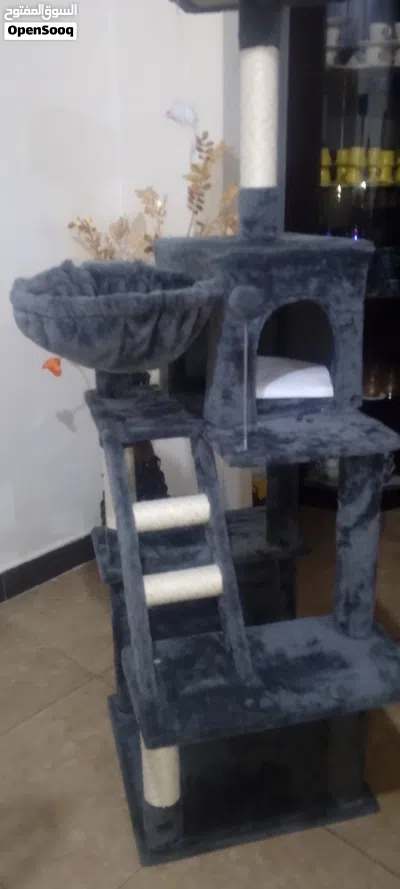 خداشه حجم كبير للقطط وبيت للقطط 2