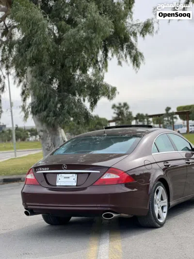 Mercedes Benz CLS-Class CLS 500 4