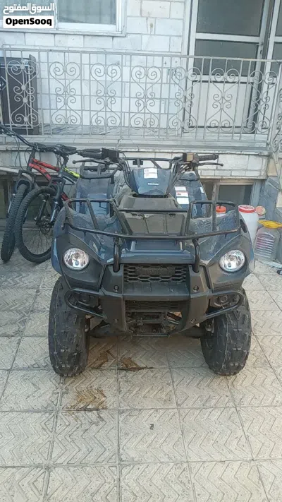 Kawasaki Brute Force 300 4