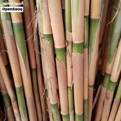 undefined 2