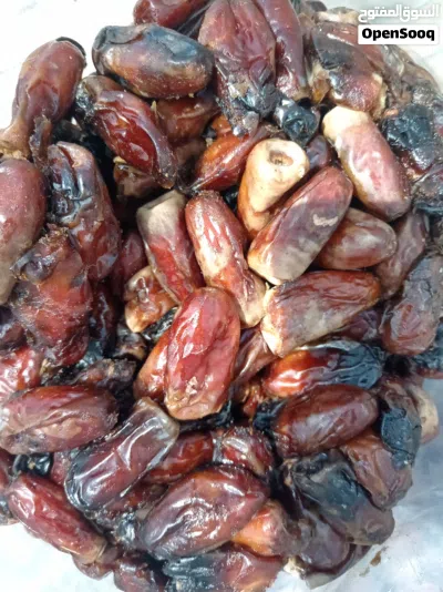 تمر نغال جديد إنتاج السنه ماشاء الله تمر نضيف ومرتب الكيس به 9 كيلو سعر الكيلو 500 بيسه 2