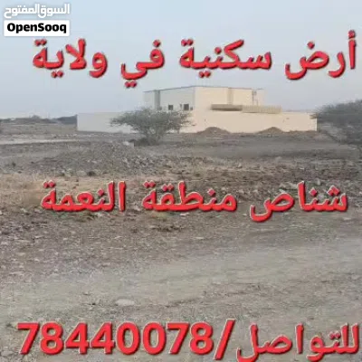 ارض سكنية في موقع جميل ولاية شناص منطقة النعمة وسط المنازل 4