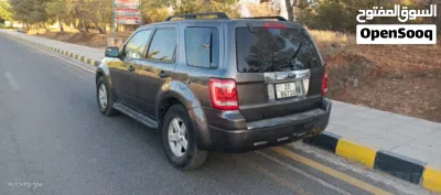 Ford Escape Standard 4