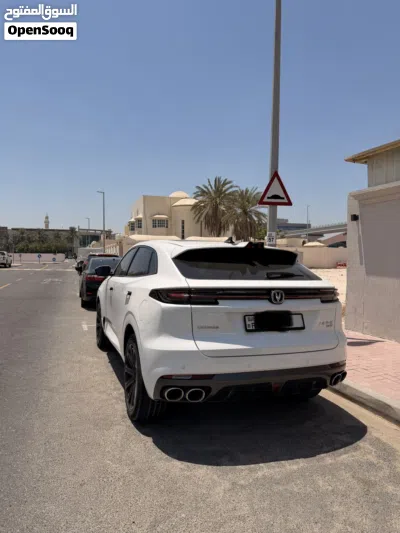 شانجان UNI-K Platinum 2