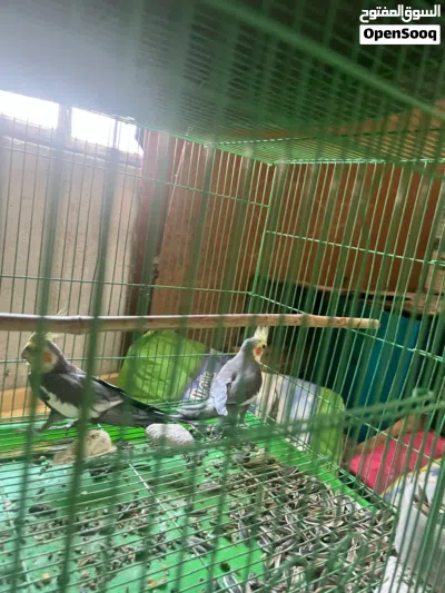 undefined 2