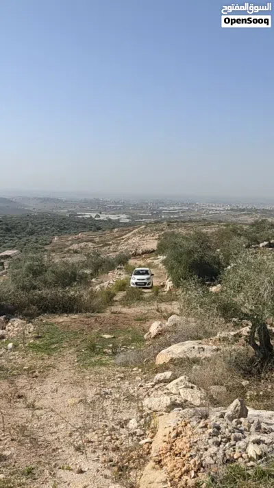 قطعة ارض مطلة على الساحل 3
