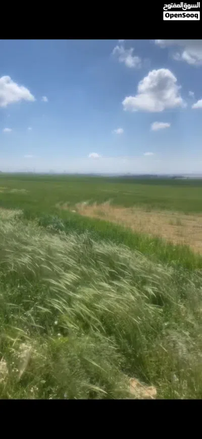 “فرصة استثمارية ذهبية في زويزا الغربي قريبة من التنظيم ومشروع الامراء. 3