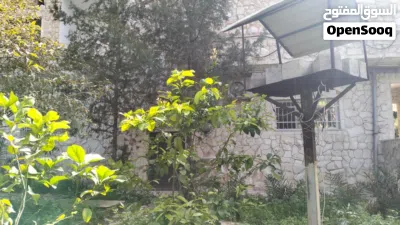 بيت مستقل مكون من طابقين مساحه الطابق 190م مع حديقه نص دونم الشونه الشماليه قرب الحمه 3