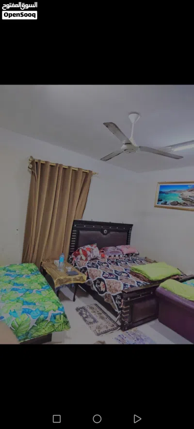 شقه إيجار شهرين الخريف كامل الشهر ب 450 3