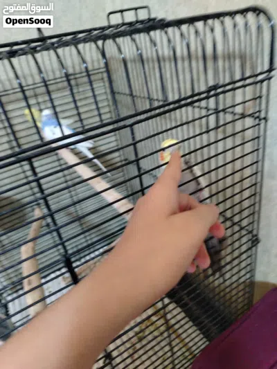 undefined 2