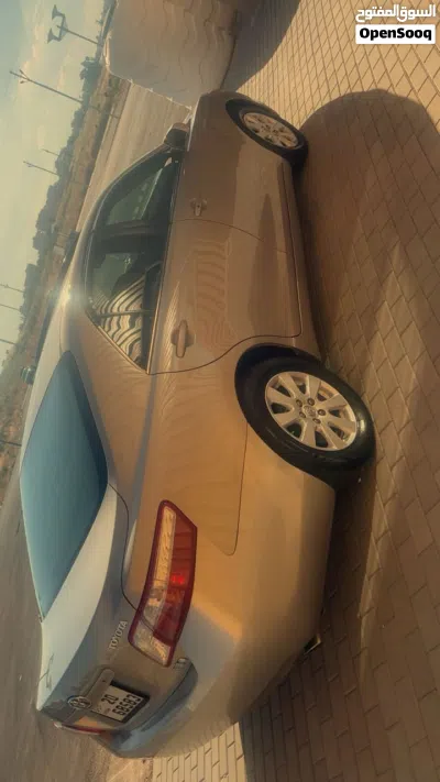 undefined 4