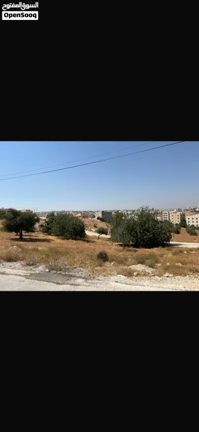 ارض للبيع شفا بدران 3
