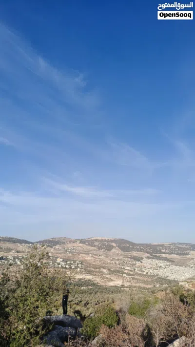 ارض زراعية 2