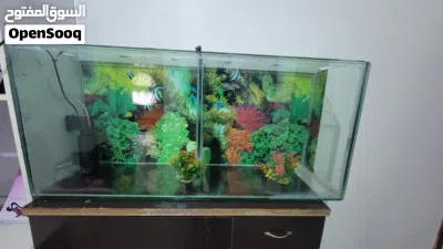 undefined 2