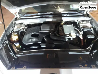 undefined 4