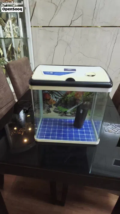 Small glass aquarium tank with lid and filter - ready to use 4