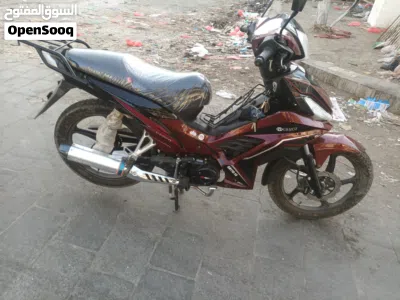 QJmotor Commute 2