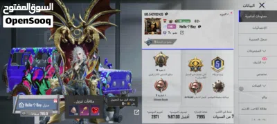 حساب ببجي للبيع 3