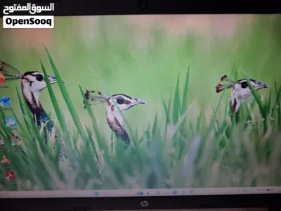 Laptop HP intel i5 11Gen 15.6 inch 3