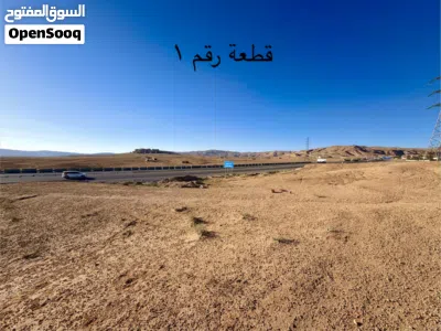 أراضي للبيع على الطريق الصحراوي محافظة العقبة 2