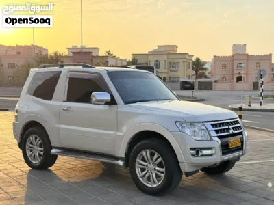 Mitsubishi Pajero Standard 2