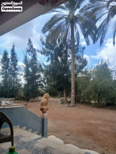 مزارع للبيع في مصر طريق مصر اسكندريه الصحراوي 4